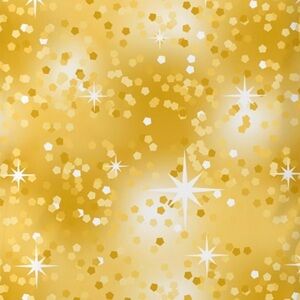 Poly mailers 10x13 100ct